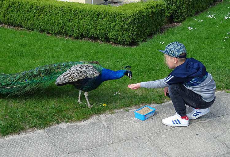 Pu Awy Atrakcje Turystyczne I Ciekawostki Z Czego S Ynie Miasto Nad Wis