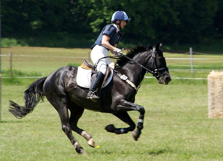 humor jeździecki dowcipy wyścigi konne zawody jeźdźcy kawały konie