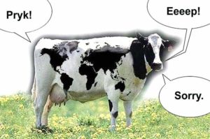 krowa trawienie metan żołądek najkrótsze dowcipy o zwierzętach