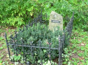 Stanisław Wigura lotnik