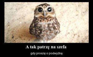 szef kawały dowcipy o szefie memy humor śmieszne żarty o szefach