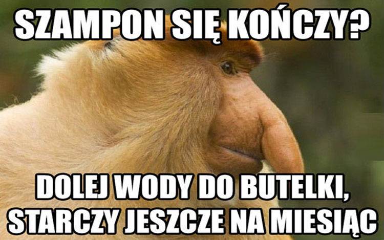 Janusz nosacz memy humor dowcipy Halina Seba Pieter Dżesika kawały