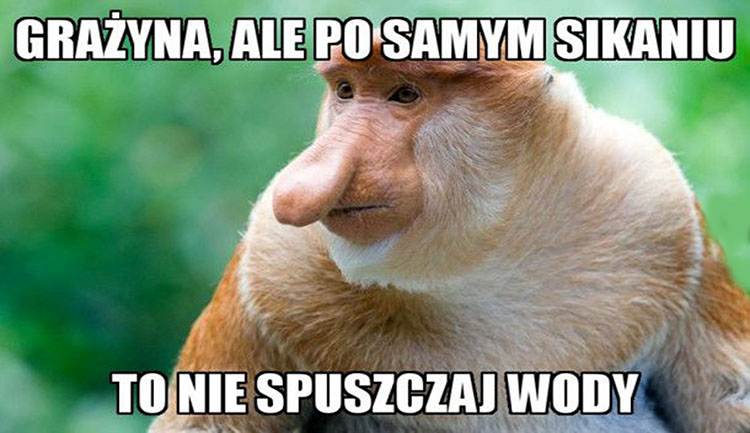 Janusz nosacz memy humor dowcipy Halina Seba Pieter Dżesika kawały