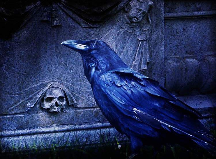 cmentarz śmierć zombie pogrzeb tafefobia