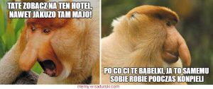 dowcipy o hotelach humor hotel memy hotele kawały memy śmieszne obrazki