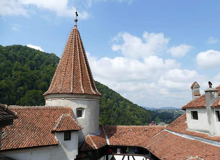 Dracula ciekawostki zamek Bran Transylwania Rumunia