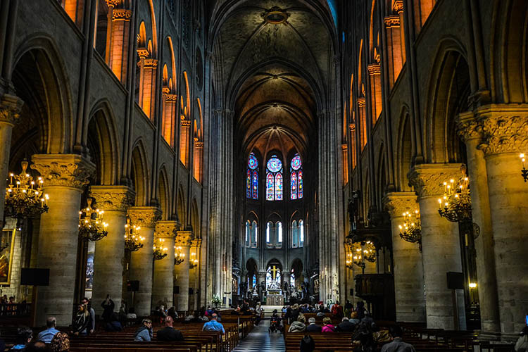 katedra Notre Dame ciekawostki Paryż Francja