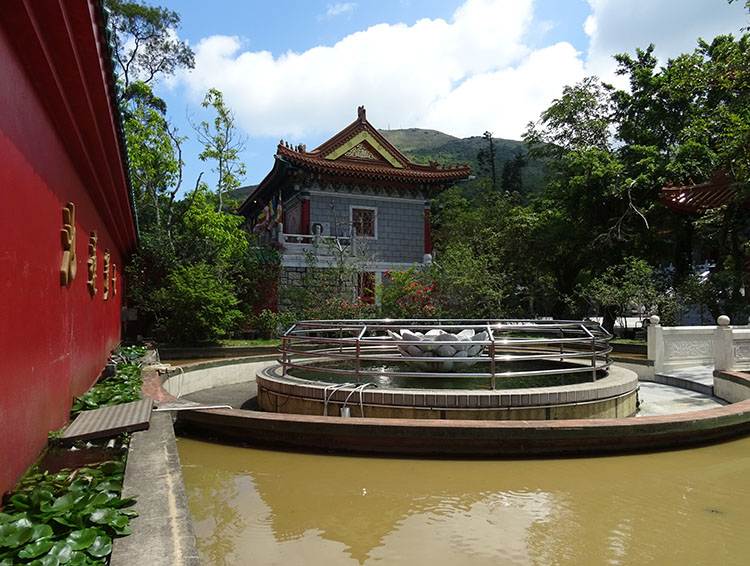 klasztor Po Lin monastery hongkong atrakcje