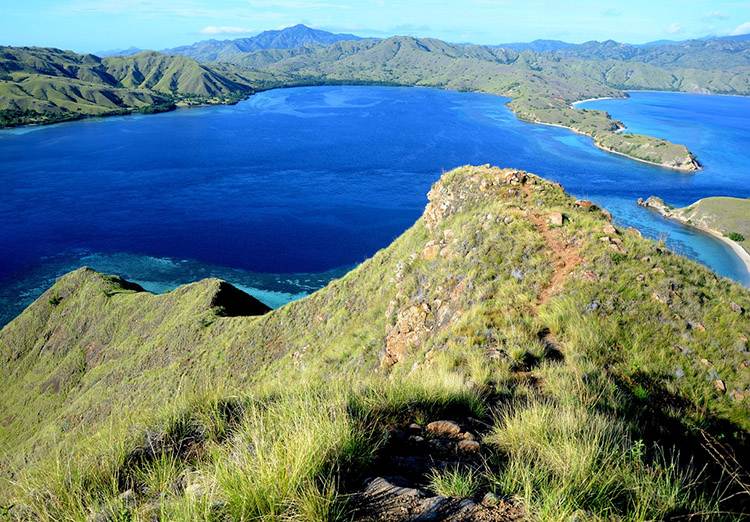 park Komodo wyspy Indonezja ciekawostki