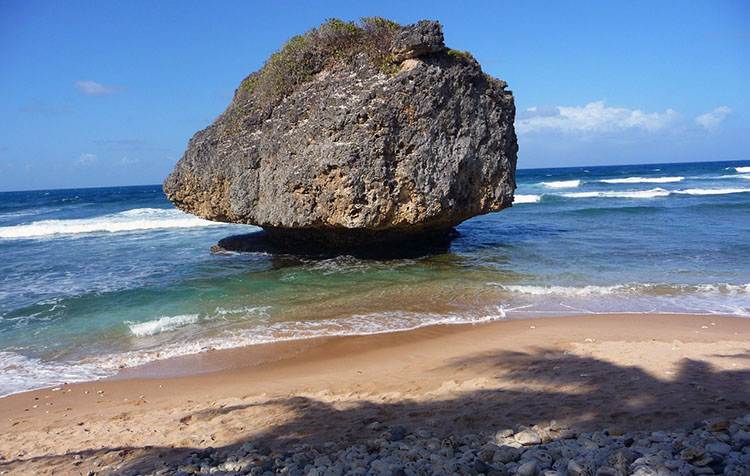 Barbados ciekawostki atrakcje wakacje