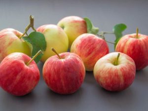 jabłka ciekawostki o jabłkach jabłko jabłoń