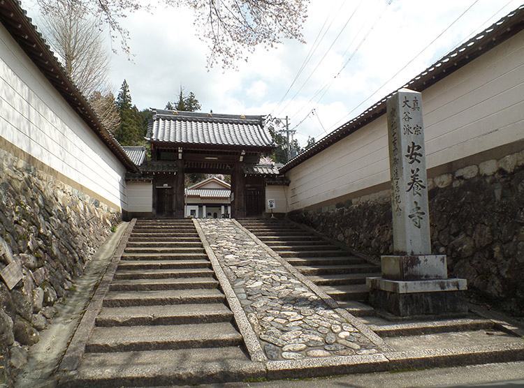 miasto Gujo Hachiman Japonia atrakcje Japan 