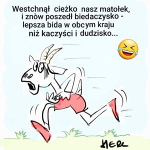 śmieszne memy polityczne PiS wybory Duda humor polityczny satyra rysunki Polska rząd koziołek Matołek Kaczyński Duda