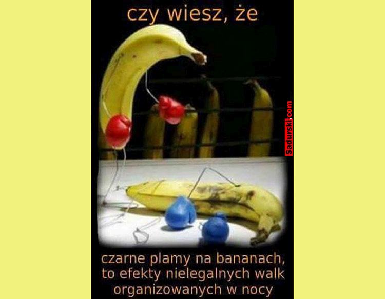 banany mem banan memy o bananach humor śmieszne obrazki