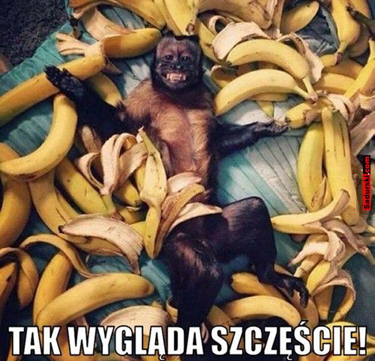 banany mem banan memy o bananach humor śmieszne obrazki