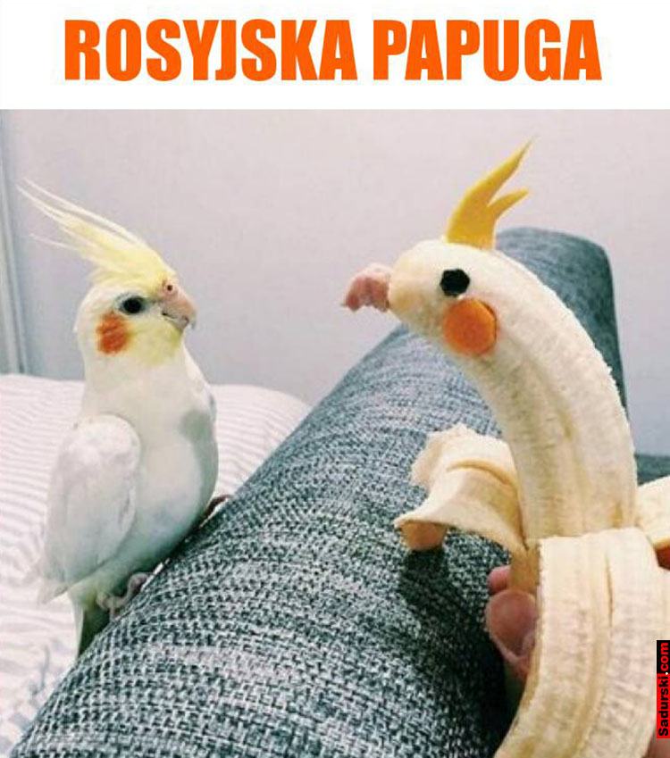 banany mem banan memy o bananach humor śmieszne obrazki