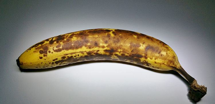 dojrzały banan ciekawostki o bananach banany bananowiec