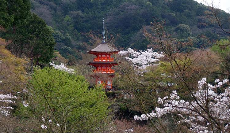 Kiyomizu-dera Kioto ciekawostki atrakcje Japonia Kyoto