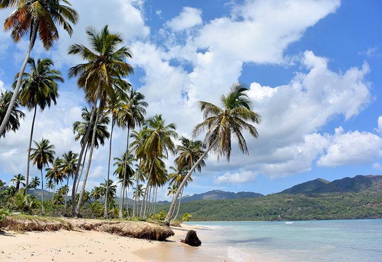 palmy morze niebo plaża na Dominikanie ciekawostki atrakcje wakacje