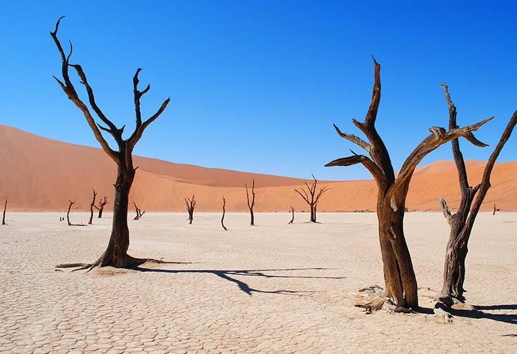 pustynia Deadvlei Namibia ciekawostki atrakcje Afryka