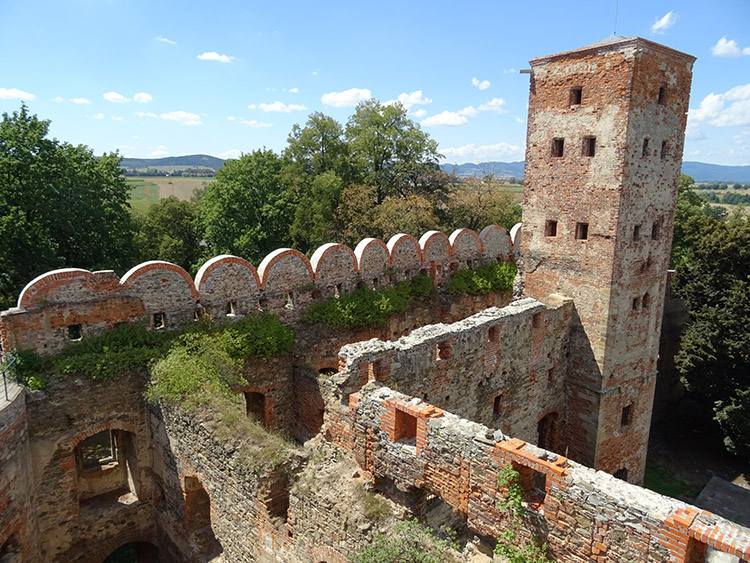 zamek ruiny Ząbkowice Śląskie ciekawostki atrakcje zabytki