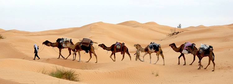 pustynia Tunezja ciekawostki atrakcje Afryka