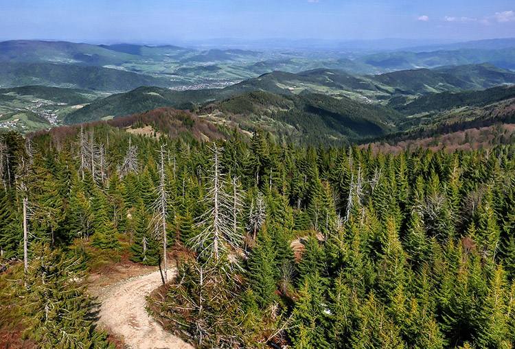 Gorce szlaki polskie góry wędrówki piesze