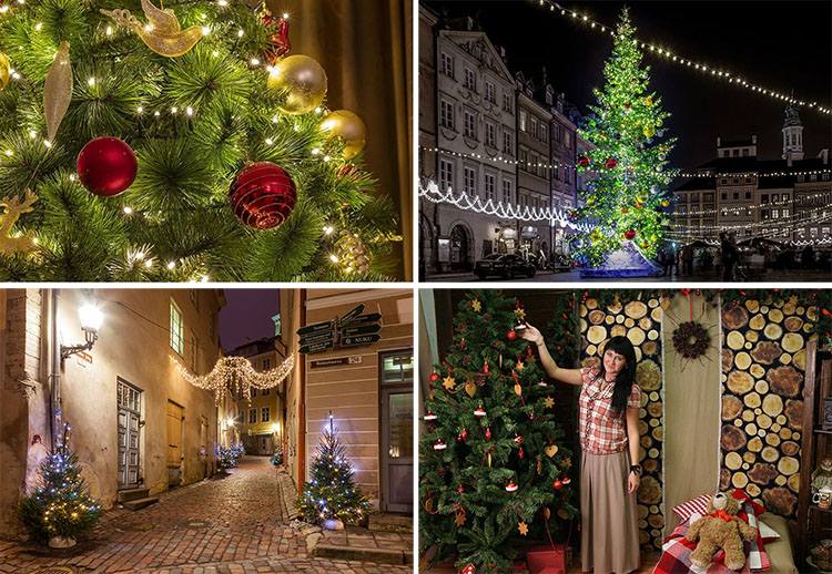 Praga Czechy święta Bożego Narodzenie choinki Wigilia