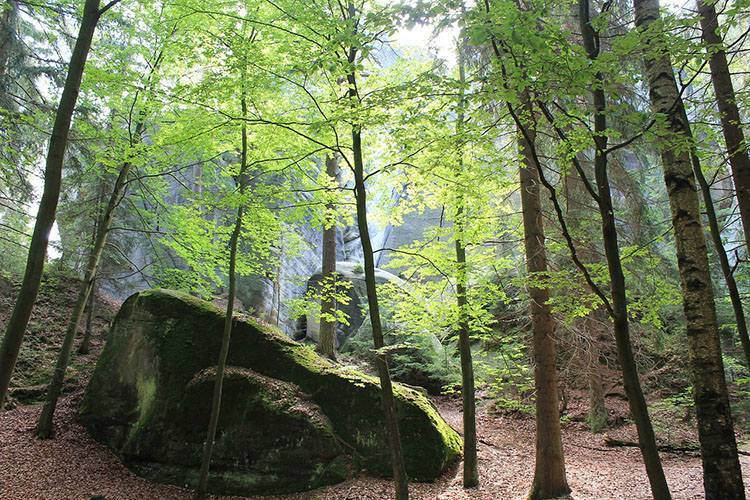 Adrspach Skalne Miasto Czechy ciekawostki