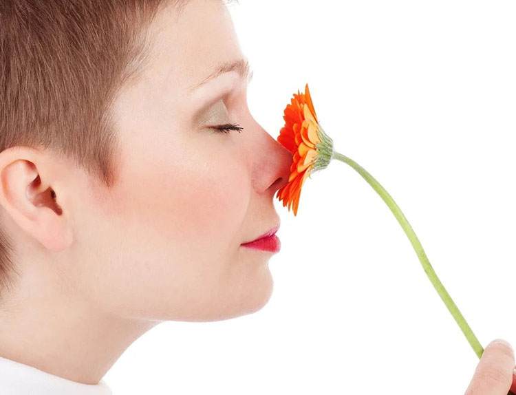 zapach nos ciekawostki nosy kobieta kwiat wąchanie