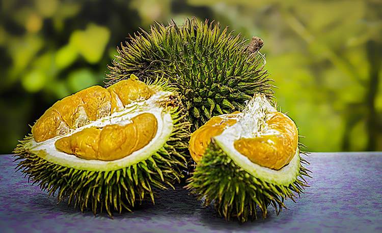 owoc durian zapach śmierdzi