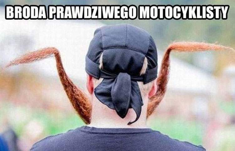 dowcipy o motocyklistach memy motocykl humor żarty