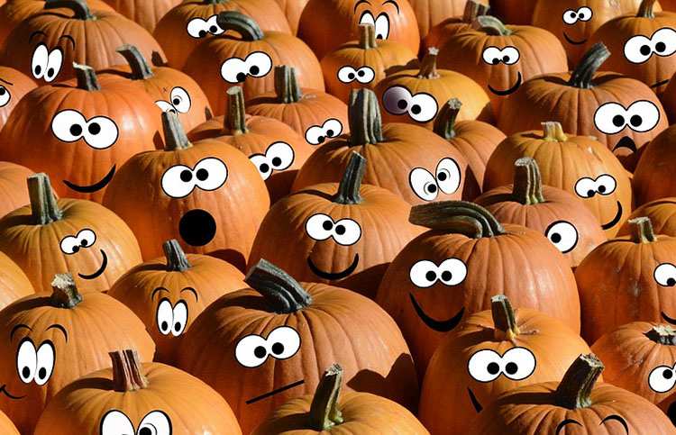 dowcipy na Halloween kawały halloweenowe czarny humor żarty