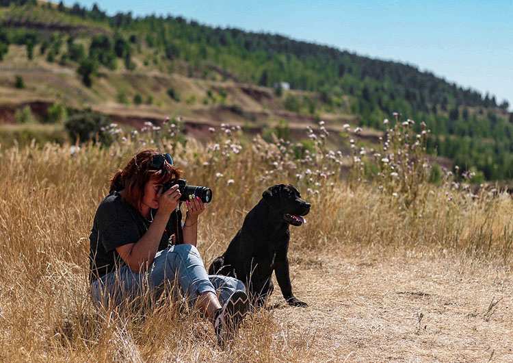 bezkrwawe łowy fotografowanie zwierząt pies