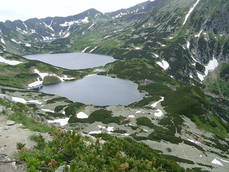 Dolina Pięciu Stawów Polskich Tatry ciekawostki