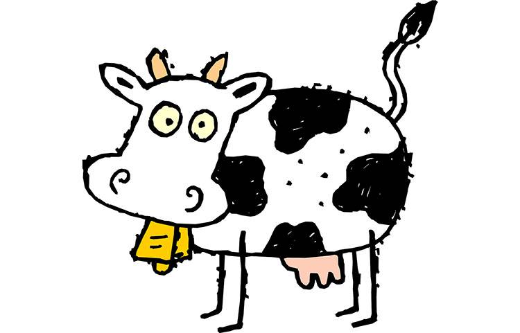 krowy humor krowa dowcipy o krowach bydło