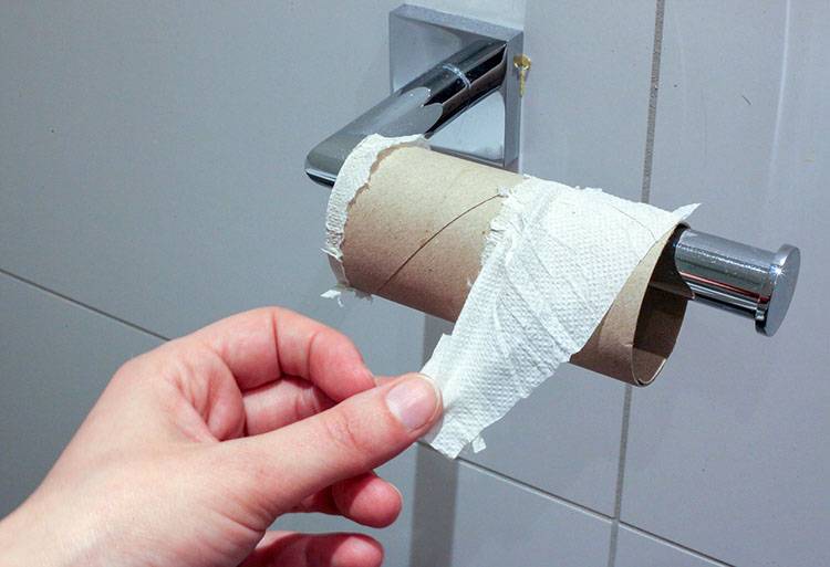 papier toaletowy ciekawostki o papierze toaletowym