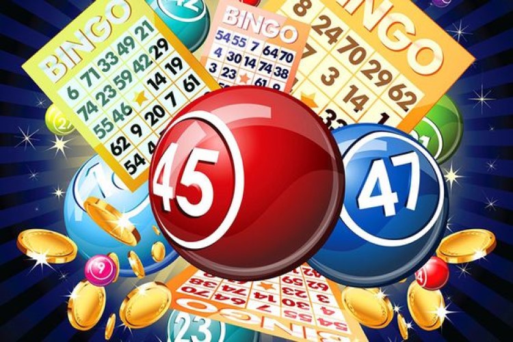 gra bingo hazard gry