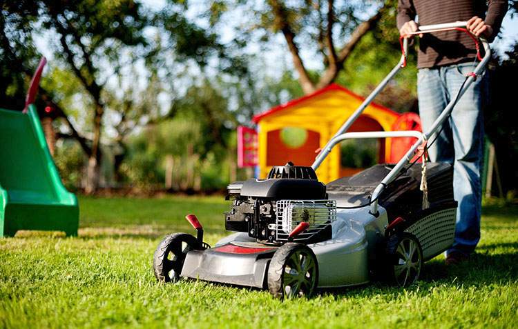 jak urządzić ogród