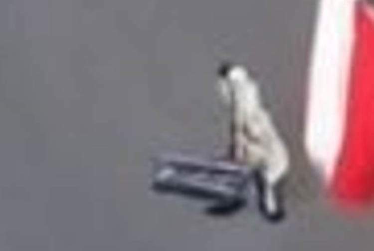 protesty rolników sztuczna inteligencja