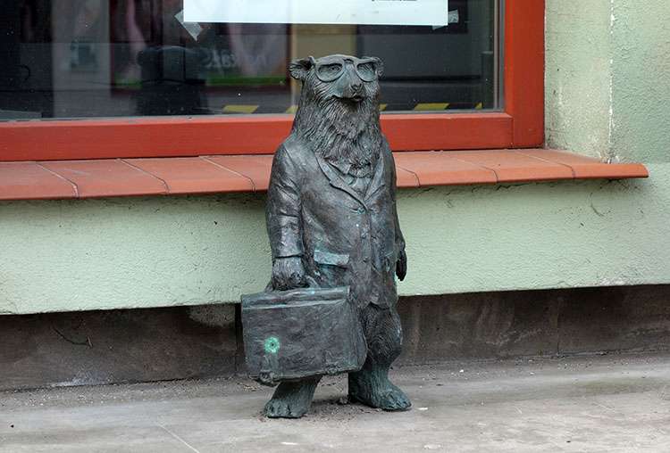 Chełm ciekawostki o chełmskich niedźwiadkach chełmskie niedźwiadki