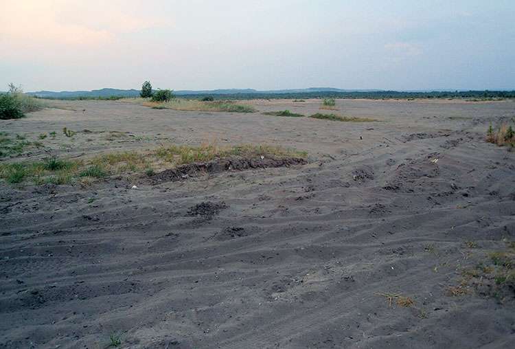 Pustynia Błędowska pustynie w Polsce