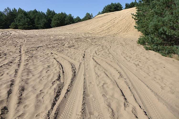 Pustynia Siedlecka pustynie w Polsce