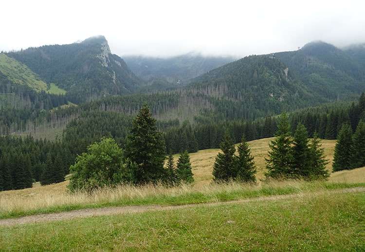 polskie Tatry góry