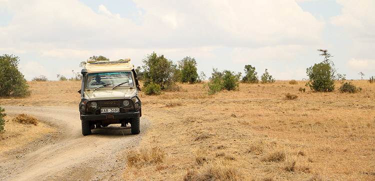 Kenia safari w Kenii Afryka