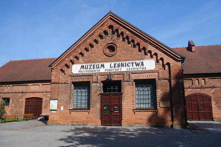 Gołuchów Muzeum Leśnictwa ciekawostki o Gołuchowie