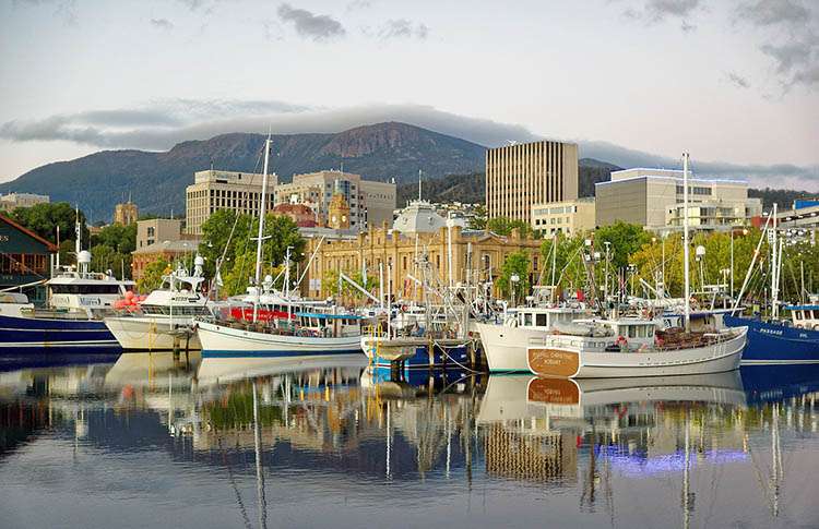 Tasmania Hobart Polacy na Tasmanii
