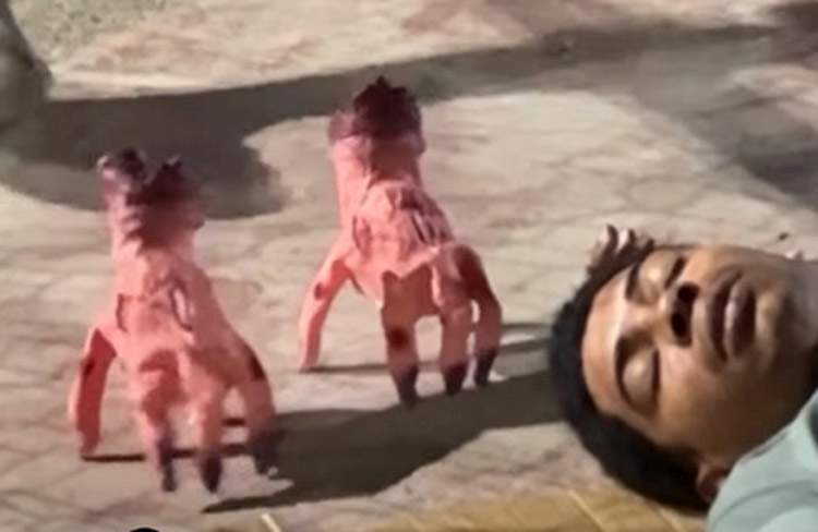 Randys Consuegra prankster czarny humor