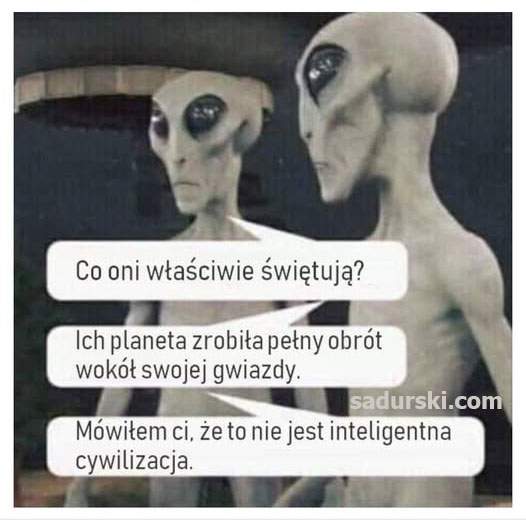Słodkiego miłego życia Sylwester dowcipy