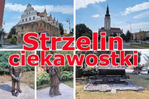Strzelin ciekawostki dolnosląskie